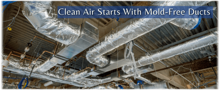 Air Duct Mold Removal in Tacoma