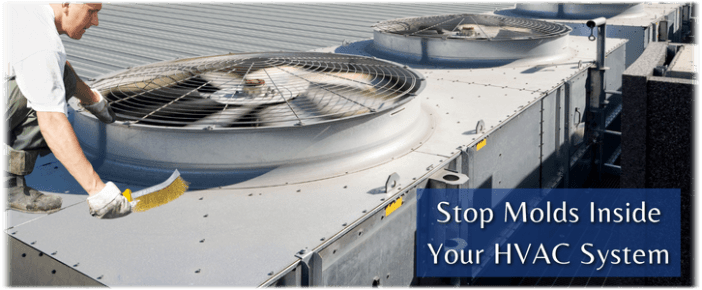HVAC Mold Removal Tacoma